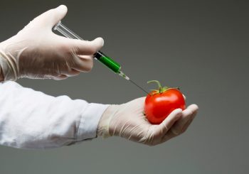 U BiH uskoro proizvodi sa oznakom "bez GMO"