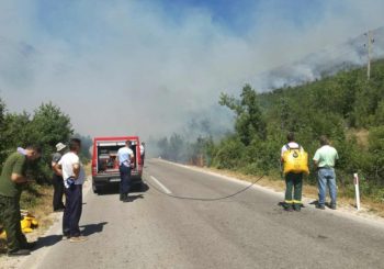 Požari širom BiH ostavljaju posljedice: Izgorjelo 15 odsto teritorije Ljubinja
