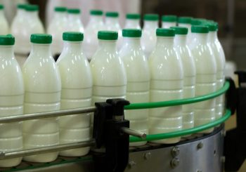 ŠAROVIĆ: Evropska komisija odobrila izvoz svih vrsta mlijeka u EU