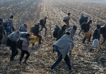 EVIDENCIJA Spriječen ulazak 4.006 migranata u BiH, 2.007 lica otkriveno nakon prelaska granice