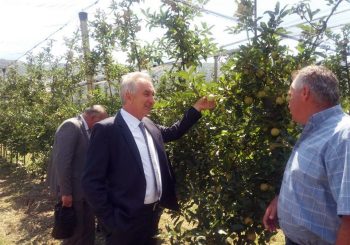 ŠAROVIĆ Moskva ukinula zabranu, voćari iz BiH opet mogu da izvoze jabuke u Rusiju