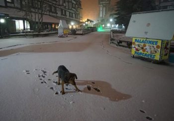 STIGLA ZIMA Na planinama u Srbiji pao snijeg, zabijelio se i Vlašić