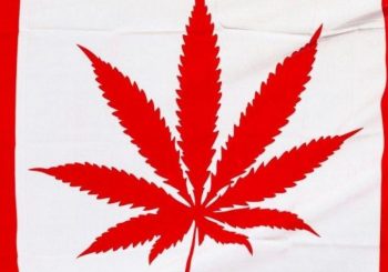 DRUGA NA SVIJETU Kanada legalizovala rekreacijsku upotrebu marihuane
