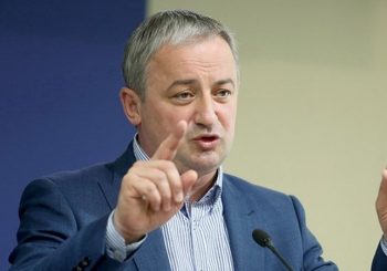 BORENOVIĆ: Sačekati prve sjednice komisija Parlamenta BiH da se vidi da li je deblokada iskrena