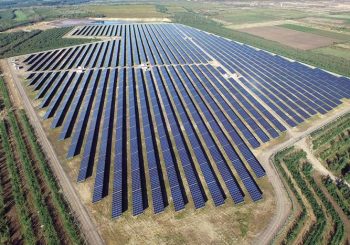 LUKA PETROVIĆ: Trebinje će dobiti solarnu elektranu vrijednu 150 miliona evra