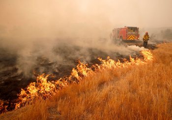 OTEŽANO GAŠENJE: Aktivna četiri požara u Hercegovini, ne prijete imovini građana