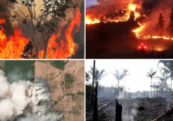 BRAZIL: Amazonija u plamenu, predsjednik Bolsonaro poručuje kritičarima da se ne miješaju