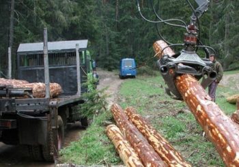 Tri osobe šumskom gazdinstvu pričinile štetu od 240.000 KM