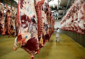 ŠAROVIĆ: Uskoro nastavak izvoza govedine iz BiH, čim Turska riješi organizaciona pitanja