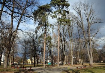 Odobrena dva skupa u Parku "Mladen Stojanović"