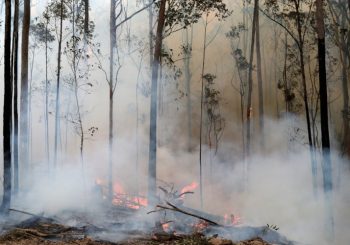 OLAKŠANJE: Australija dočekala kišu, požari jenjavaju