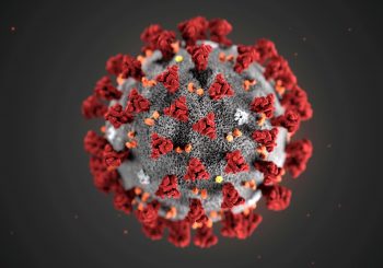 Mitovi o virusu korona koji vas mogu dovesti u zabludu