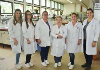 Šest Gordana u laboratoriji Alumine