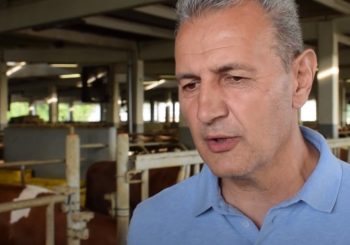 "PRINUĐEN SAM DA SVE BATALIM" Najveći proizvođač mlijeka u Republici Srpskoj zatvara farmu