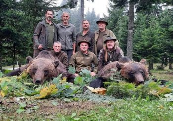 Privredno lovište „Lom“ Drinić: Za jednu noć odstrijeljena  dva kapitalna medvjeda